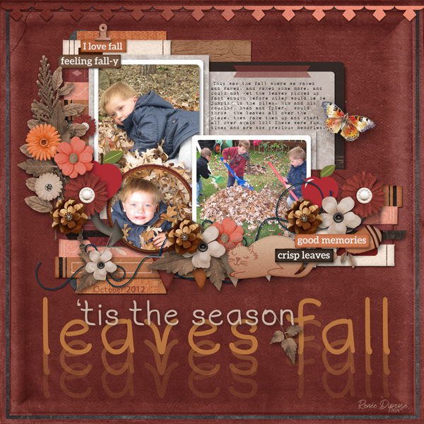 Leaves Fall