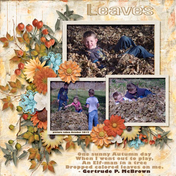 leaves small.jpg