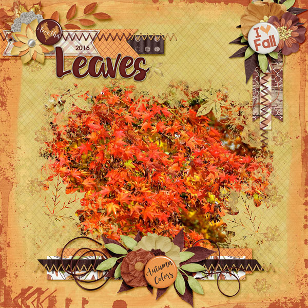 Leaves