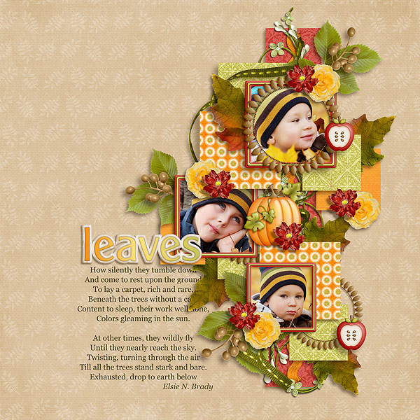 Leaves