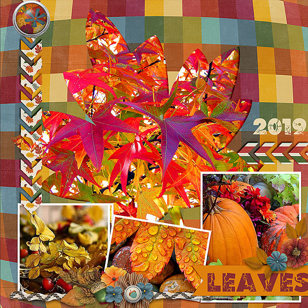 Leaves
