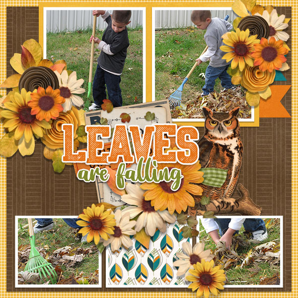 Leaves