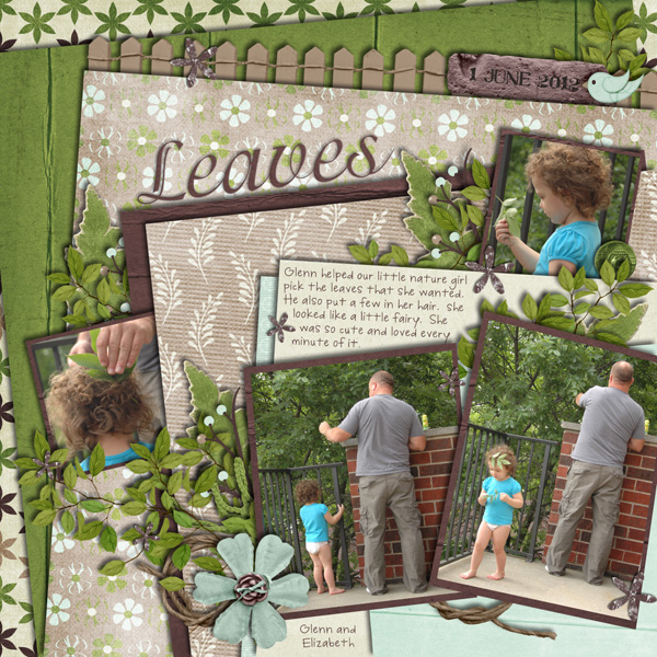 Leaves