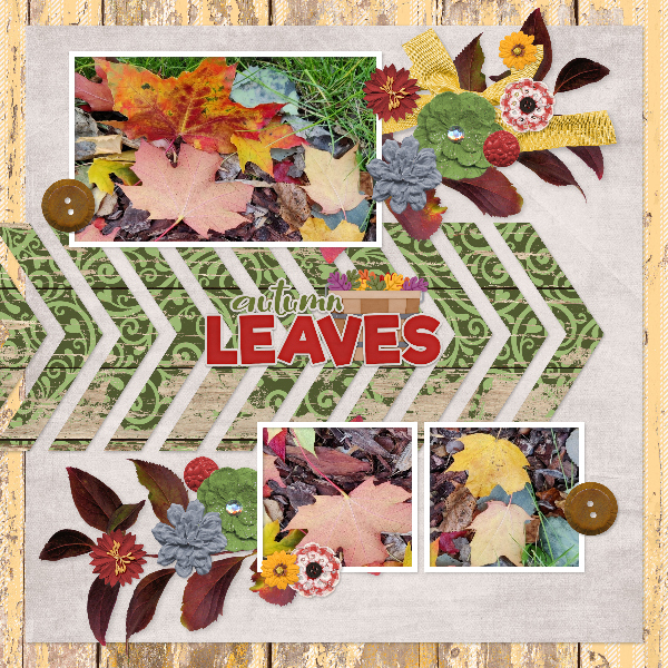 Leaves