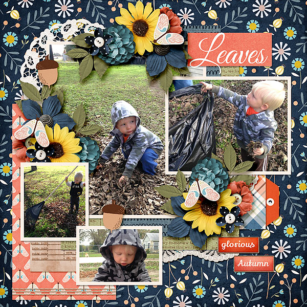 Leaves