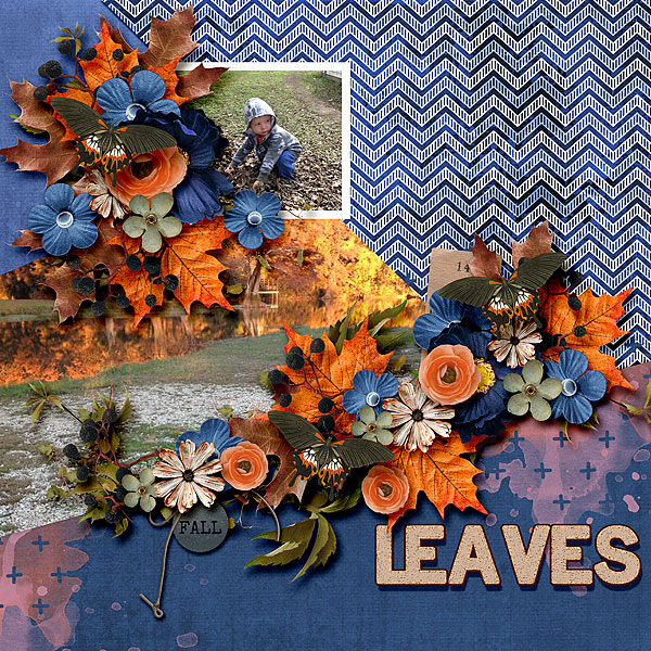 Leaves
