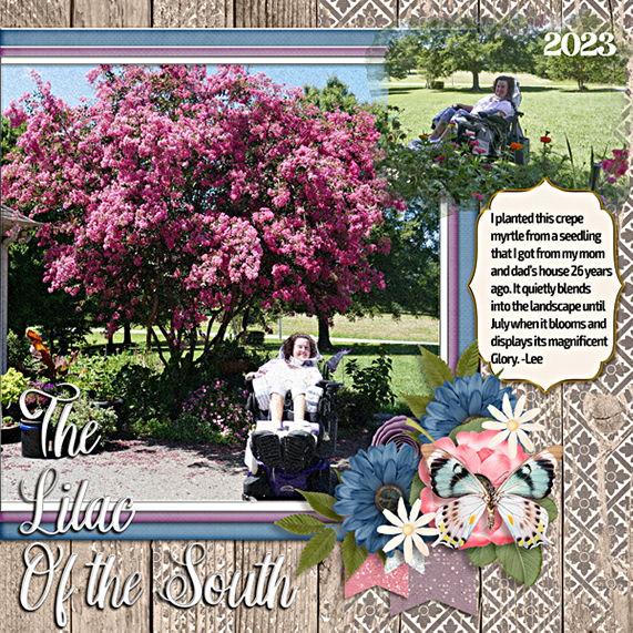 Lee crepe myrtles