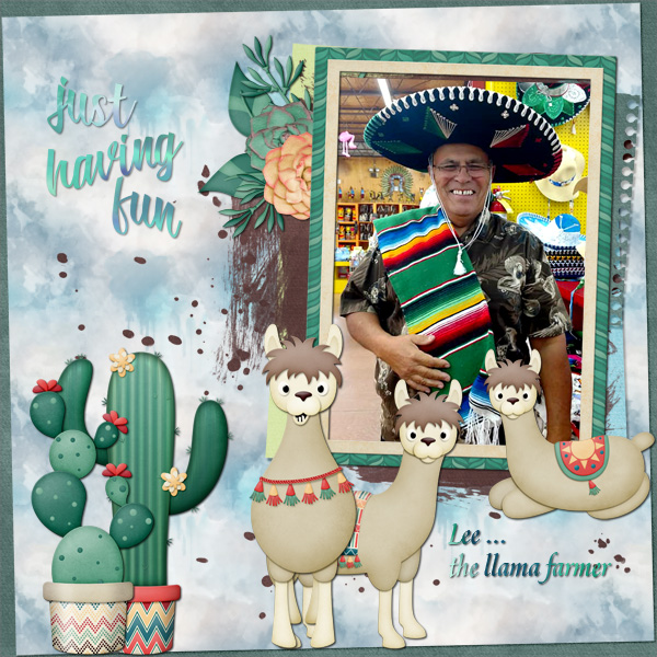 Lee ... the llama farmer