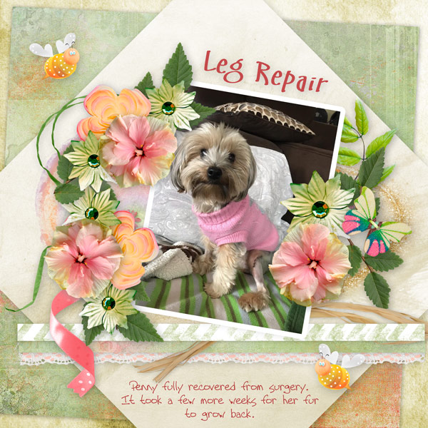 Leg Repair