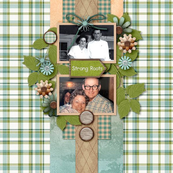 Legacy-Lane-Layout-web.jpg