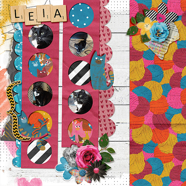 leia-sept-23