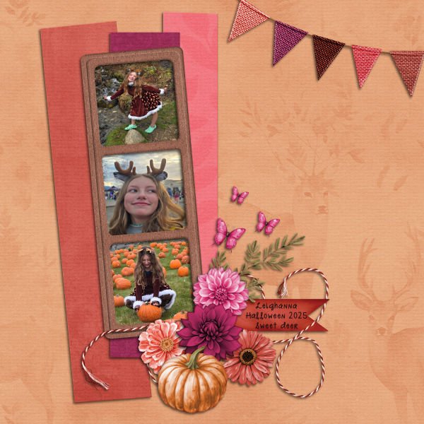 Leighanna sweet deer