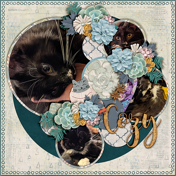 leis-cozy-hygge