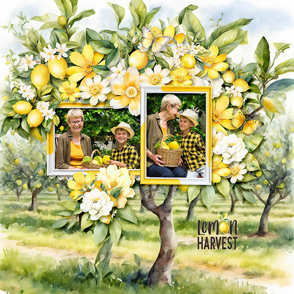 Lemon Harvest
