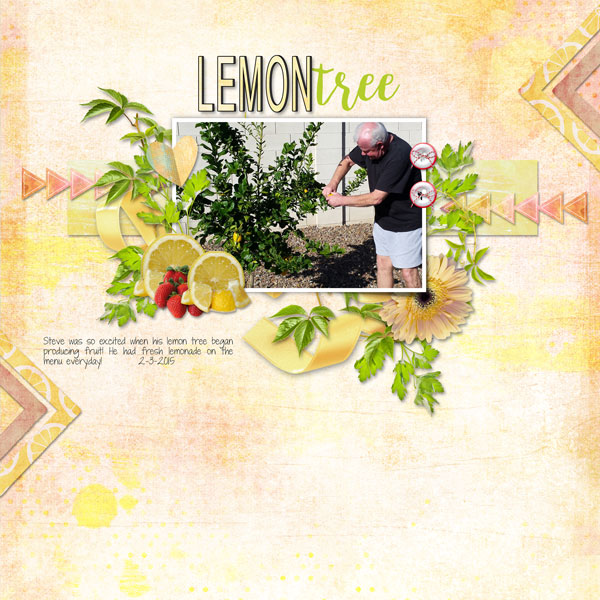 Lemon Tree