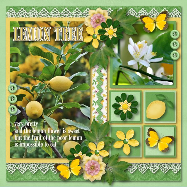 Lemon Tree