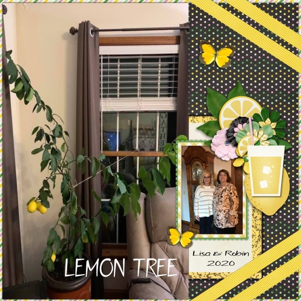 Lemon Tree