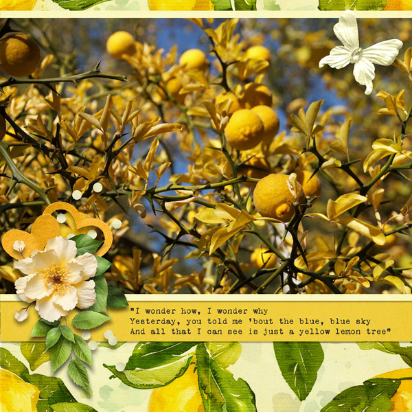 Lemon Tree
