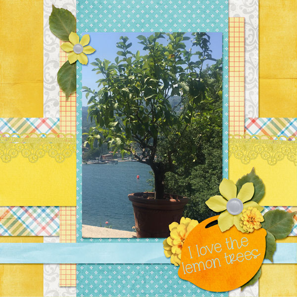 Lemon Trees