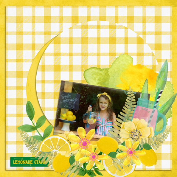Lemonade Stand