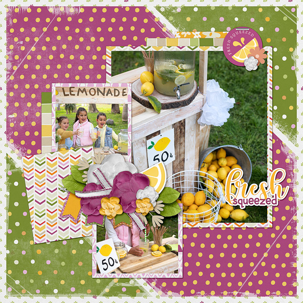 Lemonade Stand