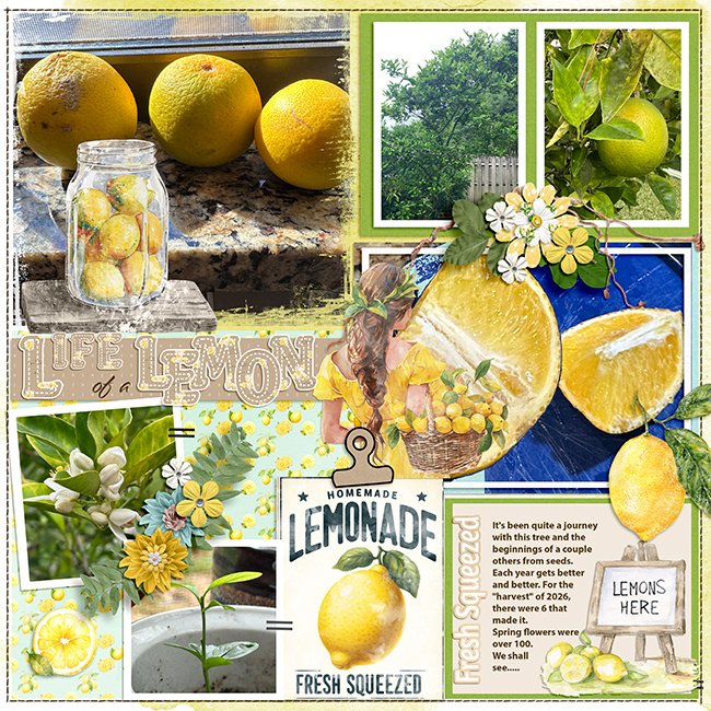 LemonsMFish_ArtsyBlocks38_04-copy.jpg