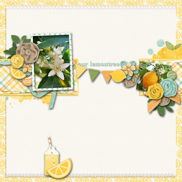 lemontree