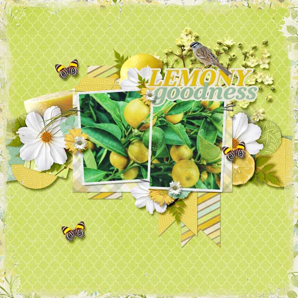 Lemony Goodness