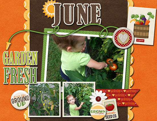 Len's Garden - June 2017 Calendar Page Top