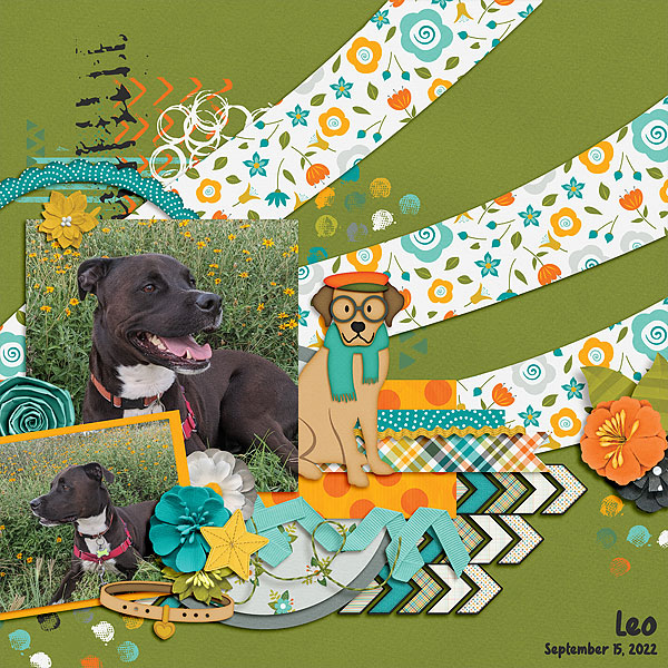 Leo in the Flowers