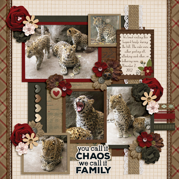 Leopard Family