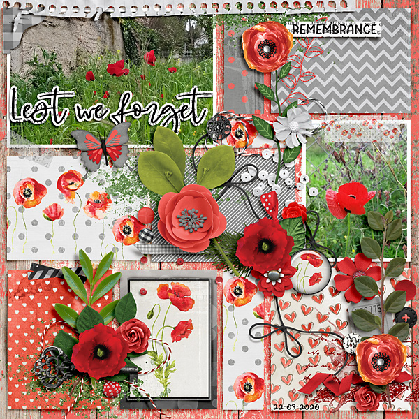 Lest we forget