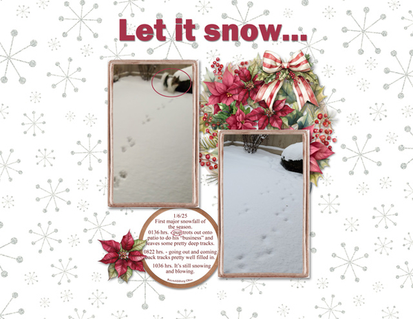 Let it Snow