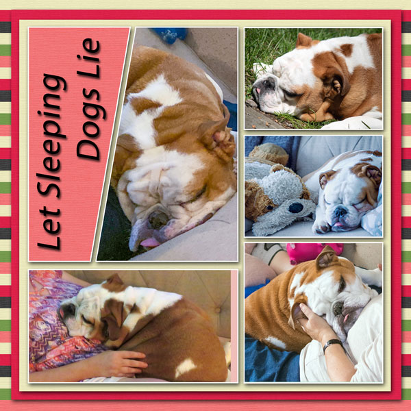 Let Sleeping Dogs Lie