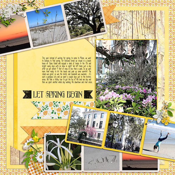 Let Spring Begin