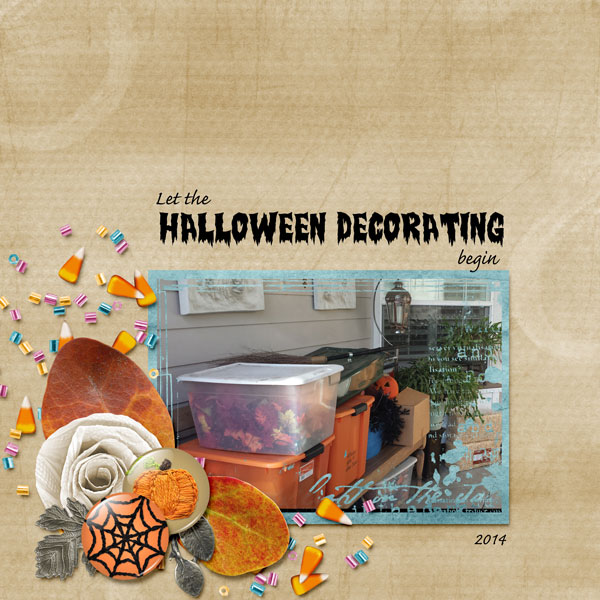 Let the Decorating Begin