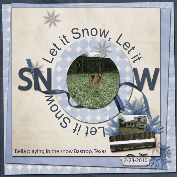 Let_it_Snow_Bastrop_Texas_2-23-2010_-_WD_RTL3_template3