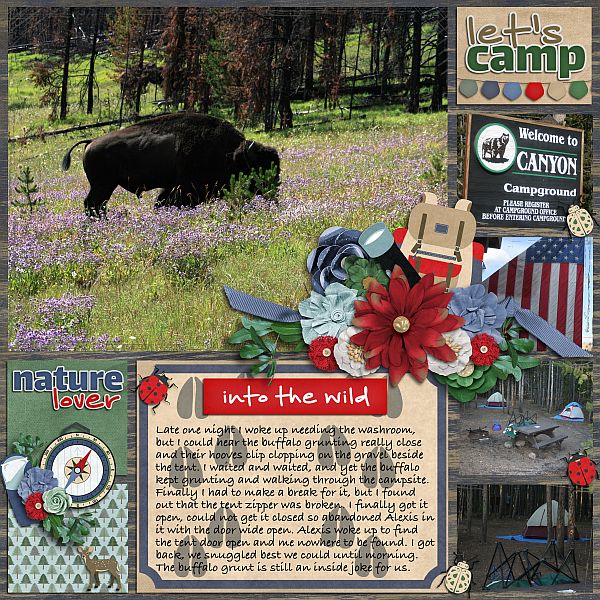 Let's Camp