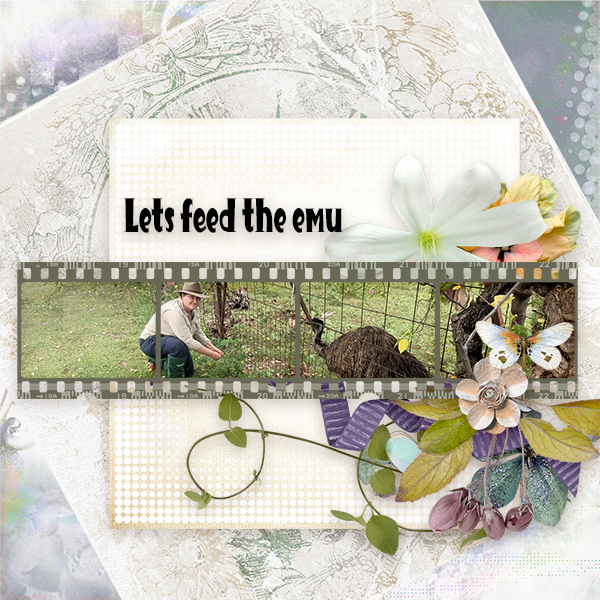 Lets feed the emu
