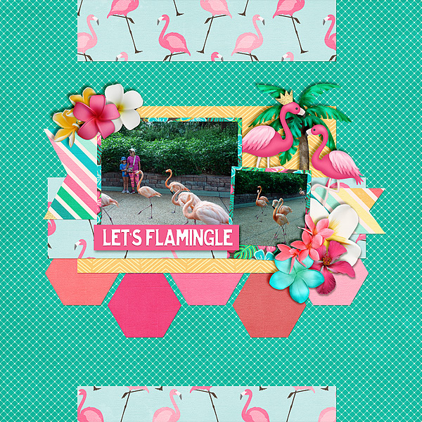 lets-flamingle