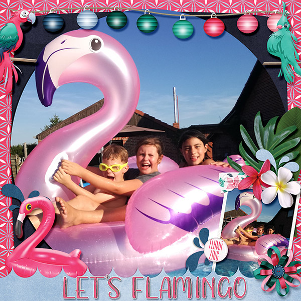 lets flamingo