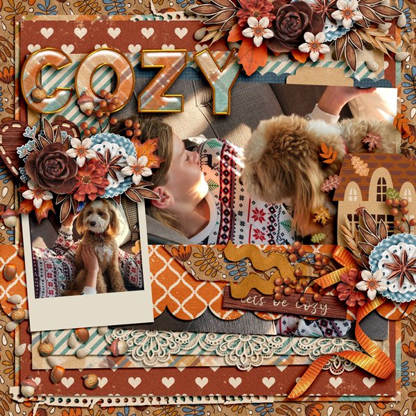 Let's Get Cozy