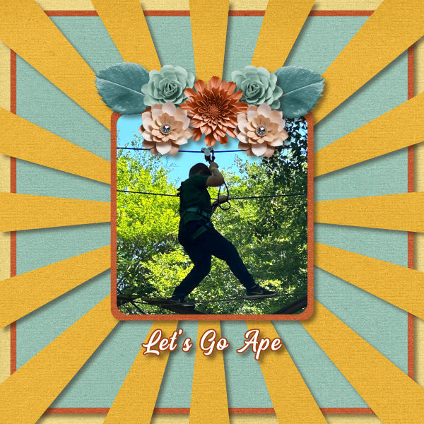 Lets Go Ape