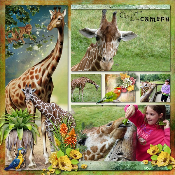 Lets go to the Zoo