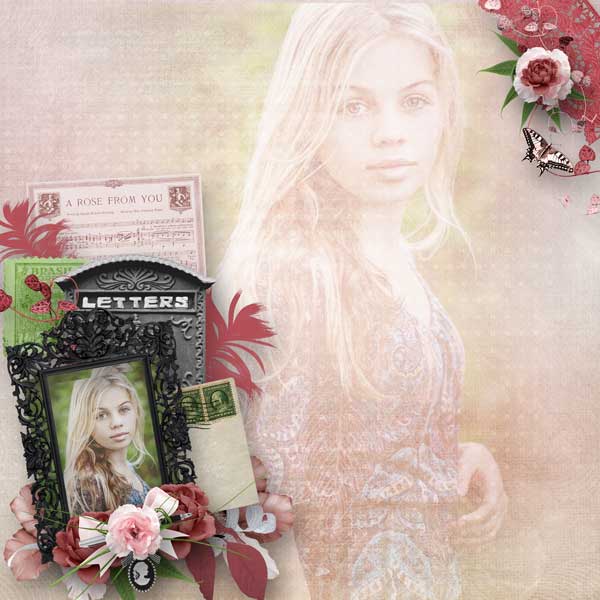 Letters from a Rose Garden
