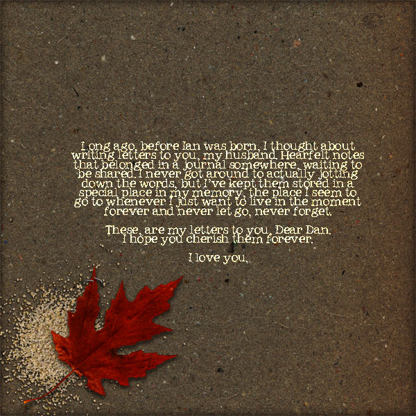 Letters to My Husband Title Page