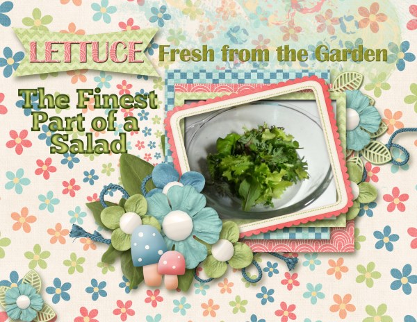 Lettuce