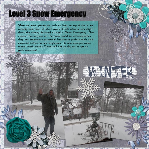 Level 3 Emergency (Page 1)