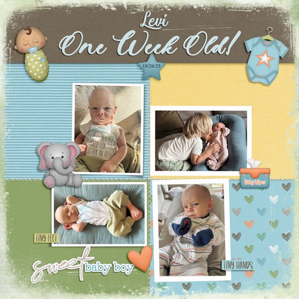 Levi One Week