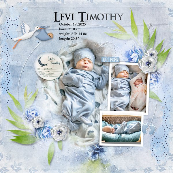 Levi's Birth Day